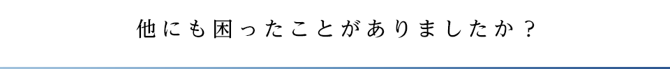 他にも困ったことがありましたか？