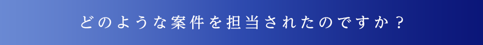 どのような案件を担当されたのですか？